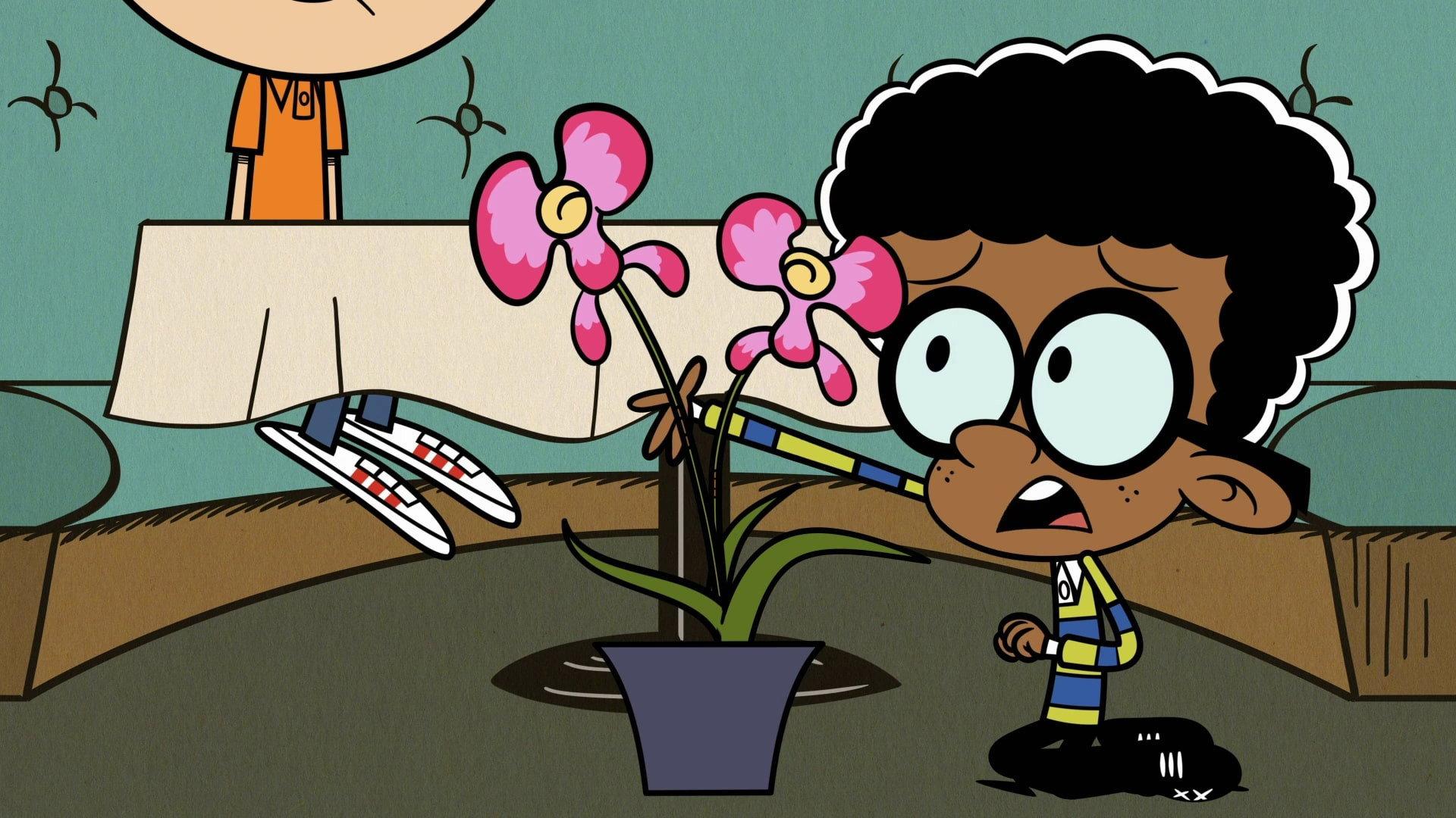 Still from The Orchid Grief