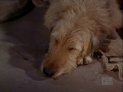 Still from Any Friend of Walter's