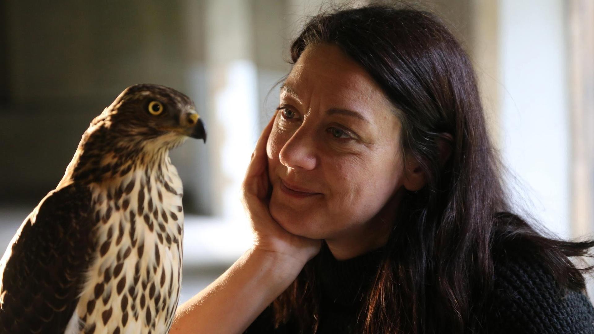 Still from H is for Hawk: A New Chapter