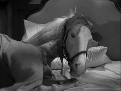 Still from Ed's Bed
