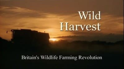 Still from Wild Harvest