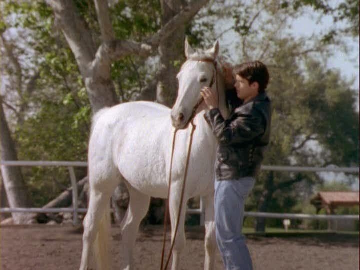 Still from Silent Sleep