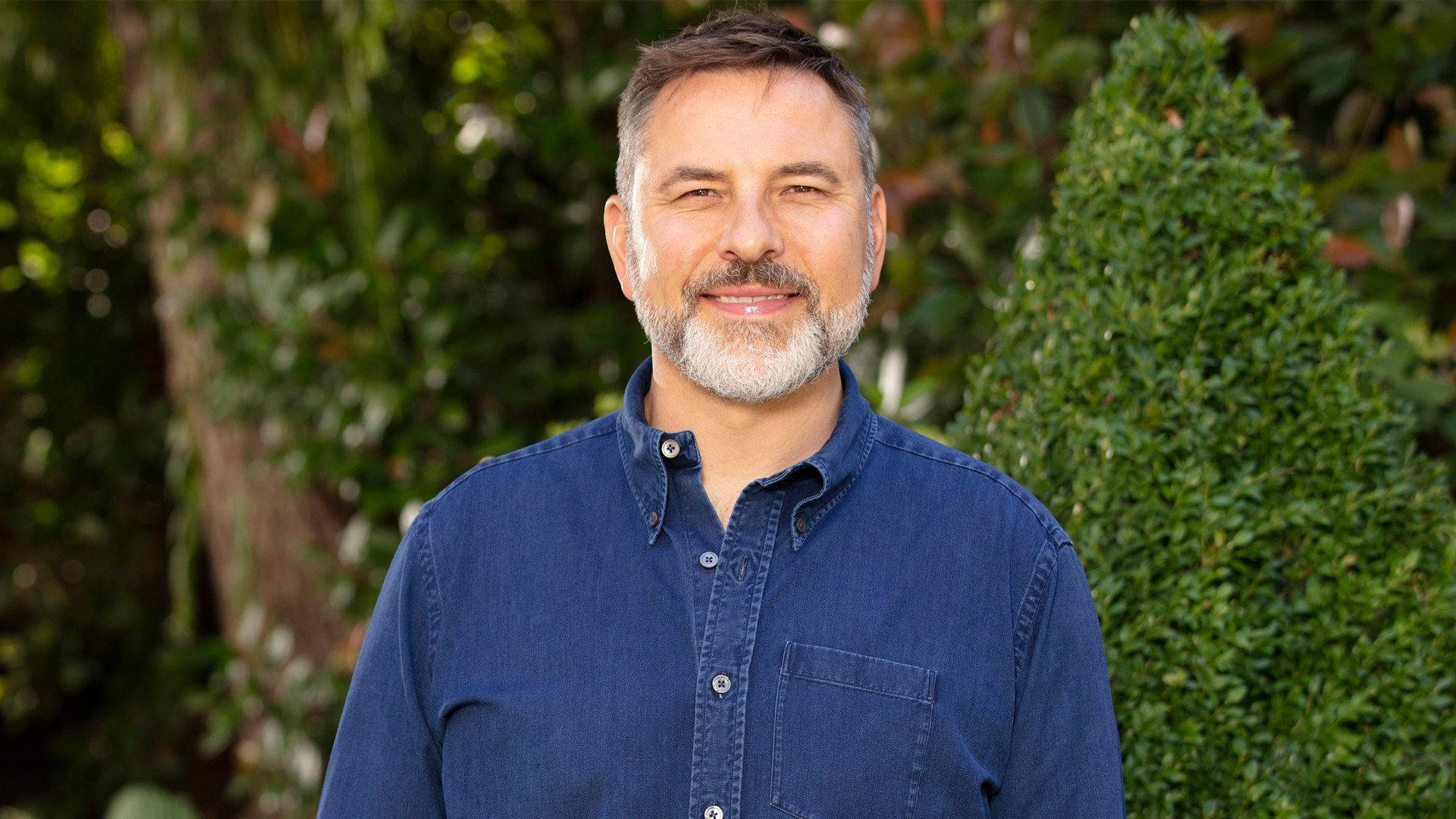 Still from David Walliams