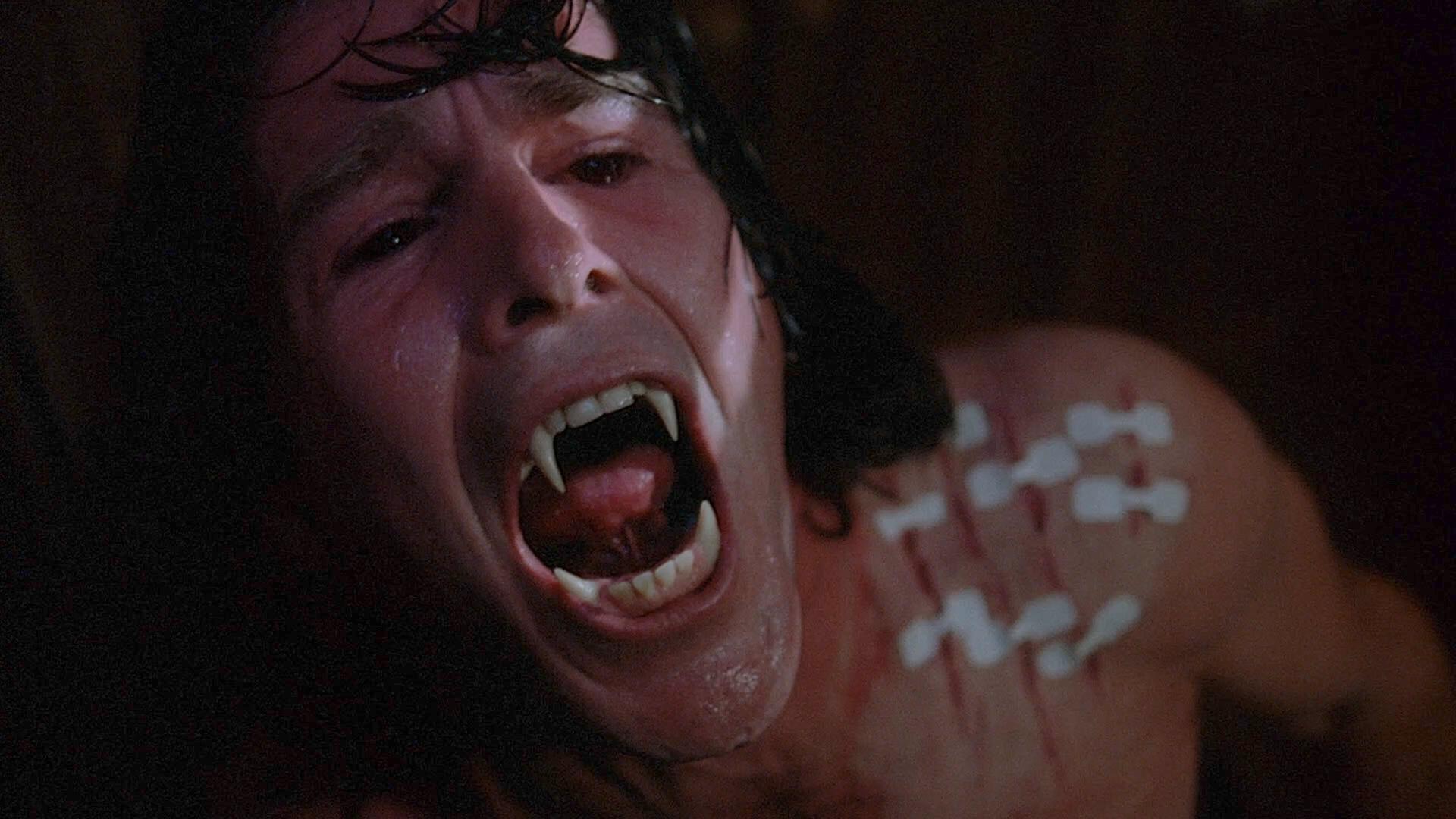 Still from Shapes