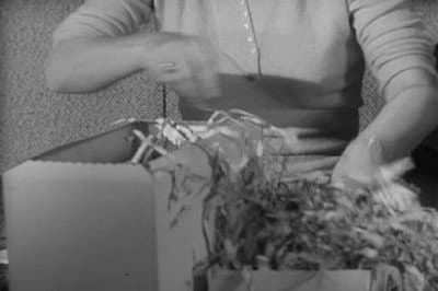 Still from One for the Road