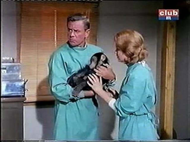 Still from The Chimp Who Went Ape