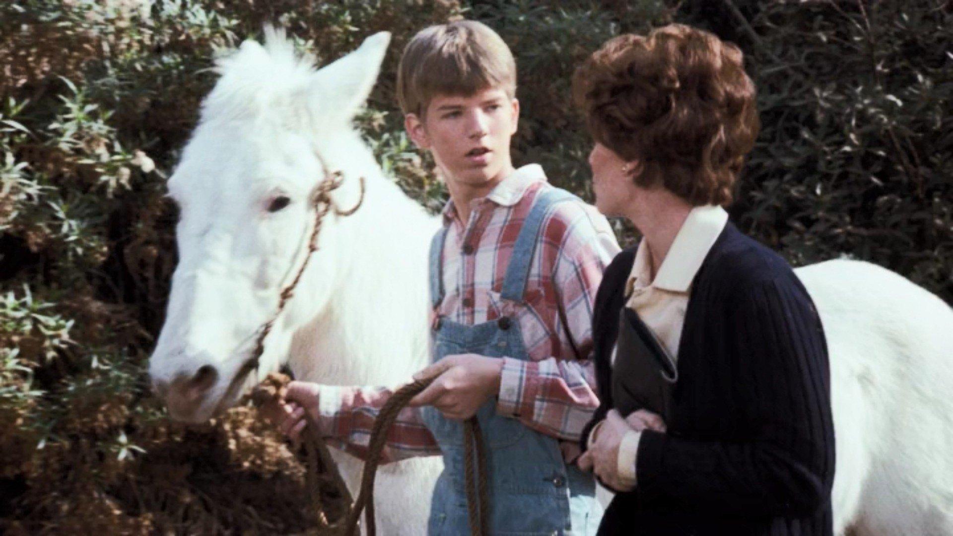 Still from The Hero