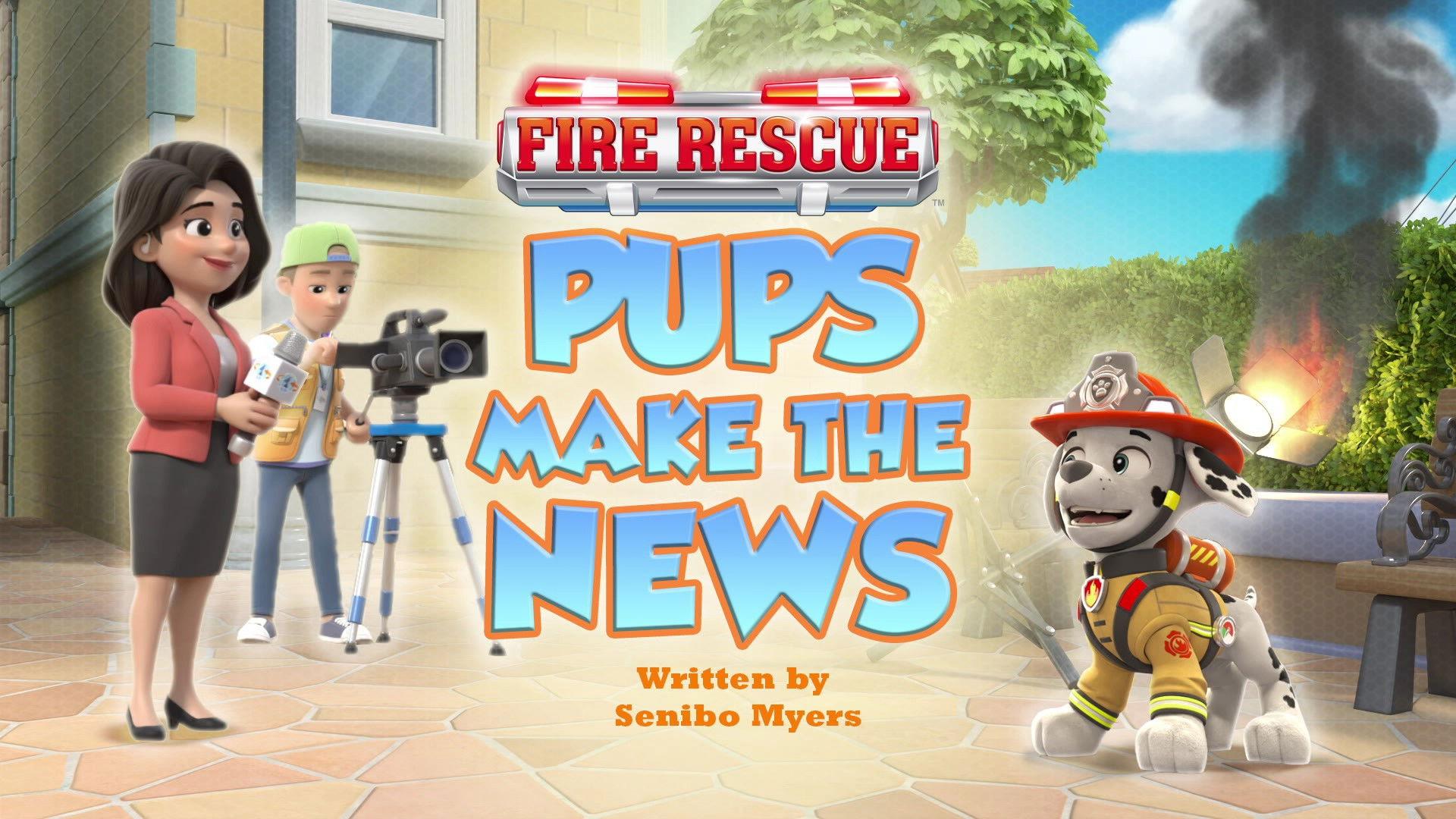 Still from Fire Rescue: Pups Make the News