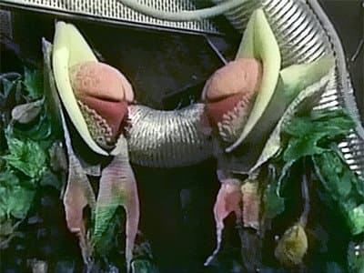 Still from The Trial of a Time Lord: Part 11