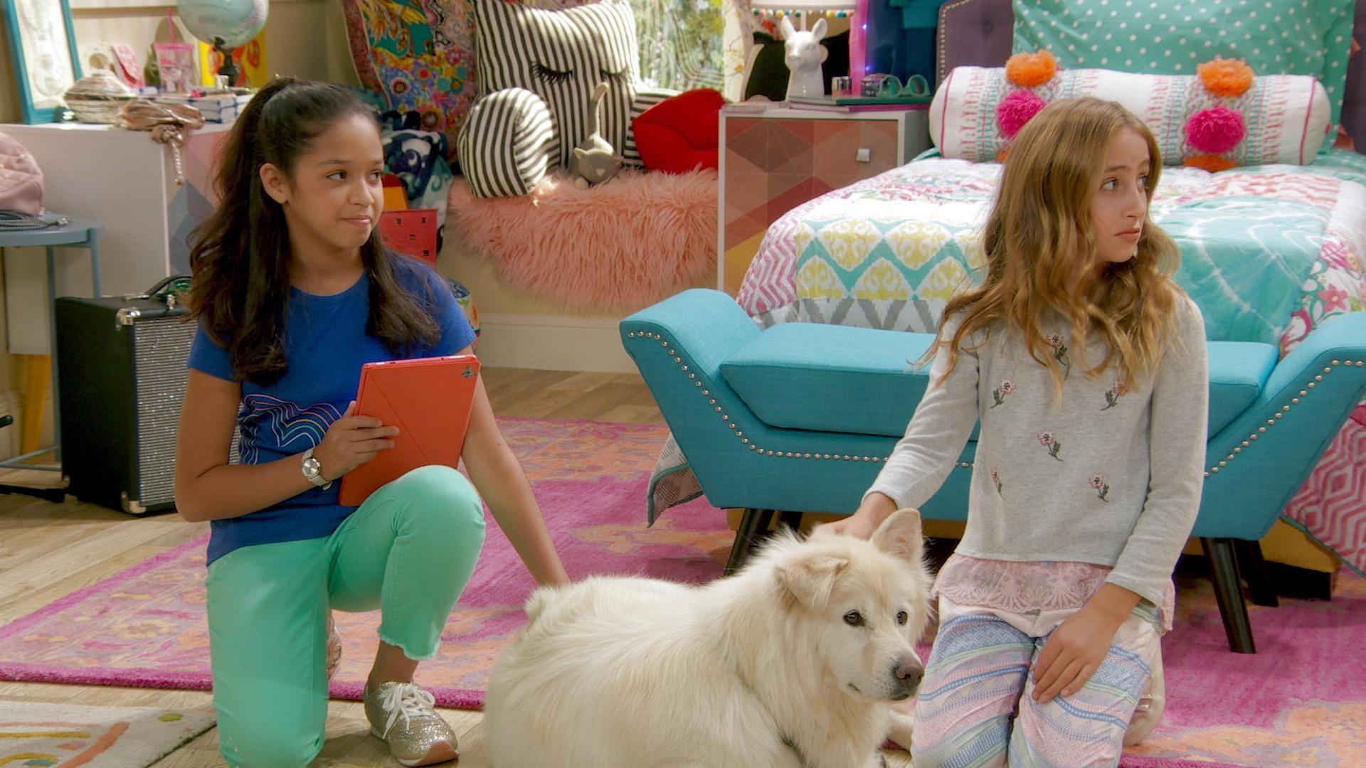 Still from Who Let the Dogs In