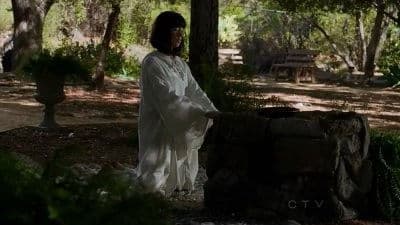 Still from Perennials