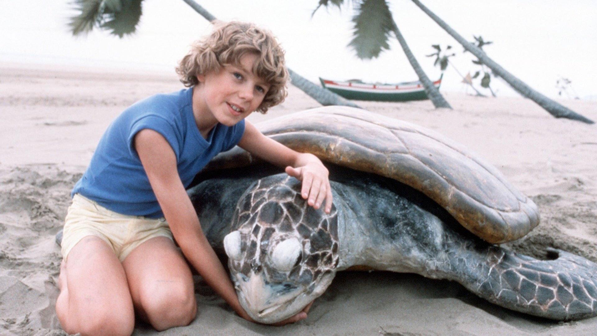 Still from The Boy Who Talked with Animals