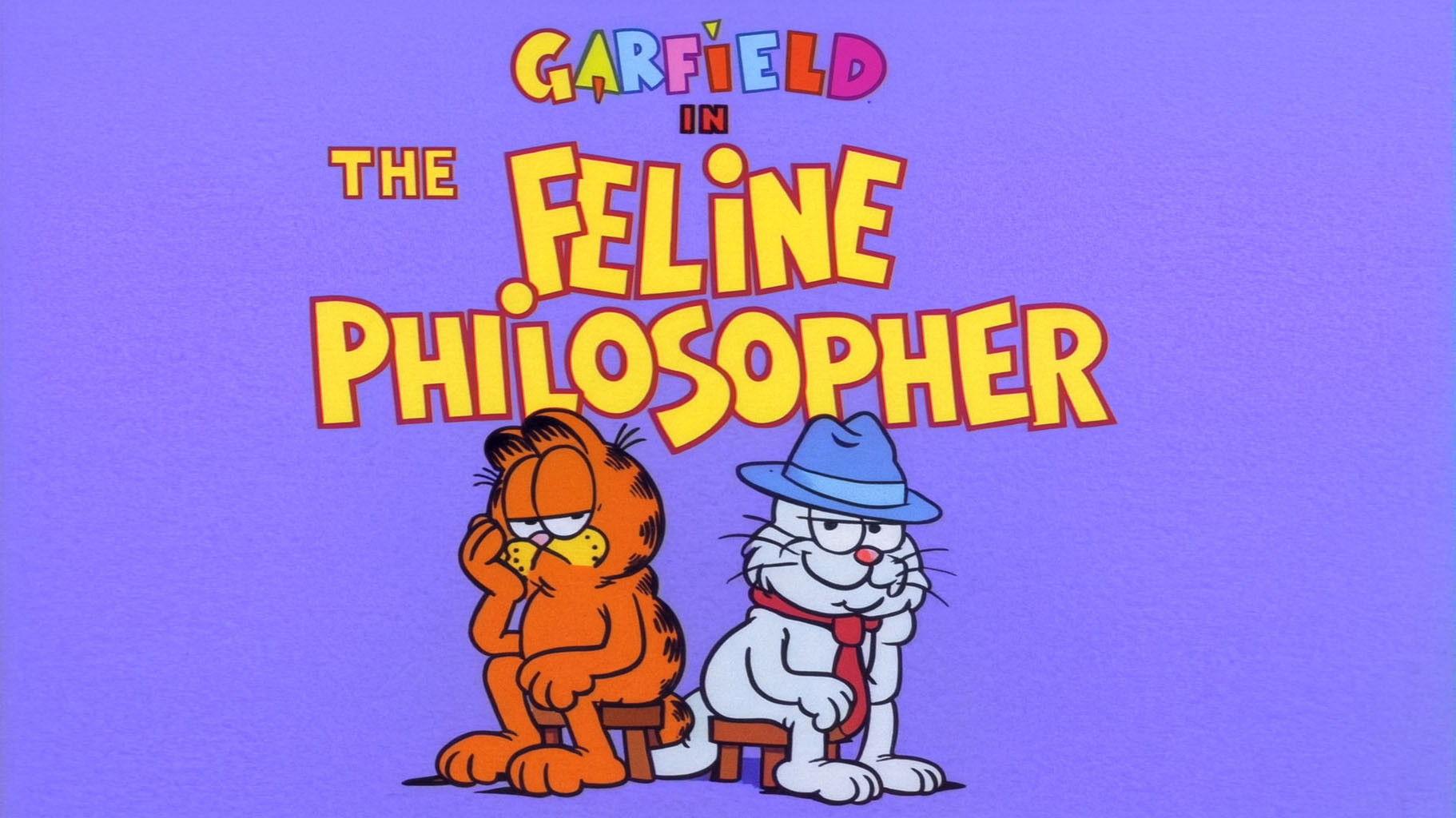 Still from The Feline Philosopher