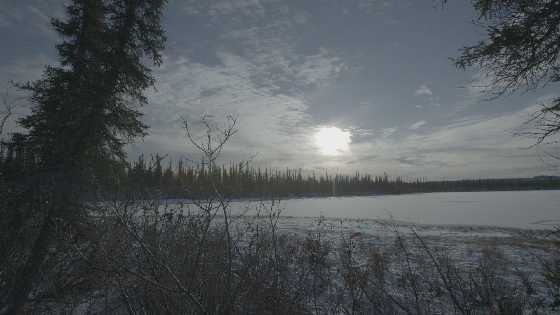 Still from Symphony Of Solitude