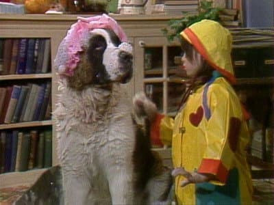 Still from Dog Dough Afternoon