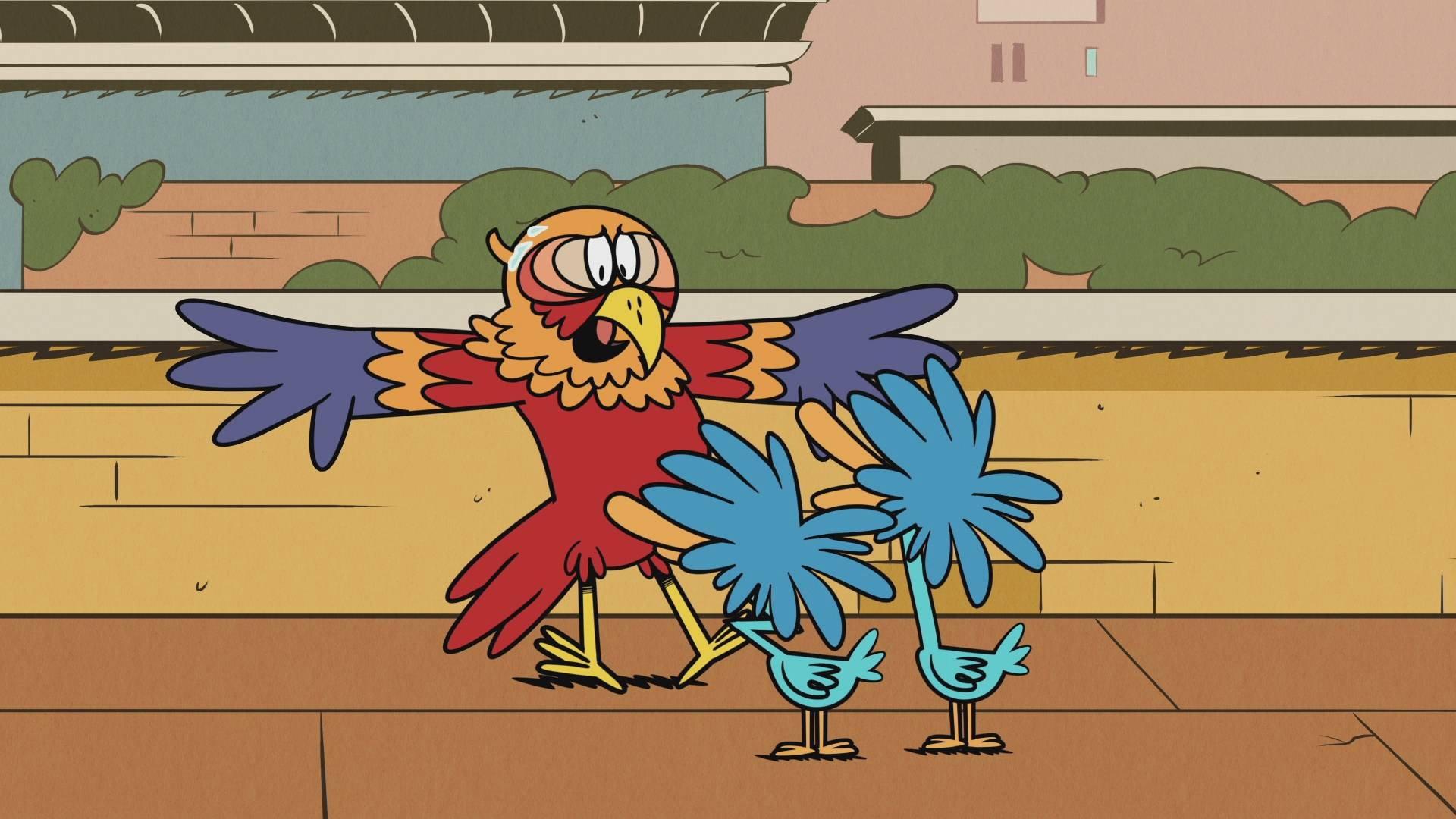 Still from No Egrets