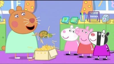 Still from Doctor Hamster's Tortoise