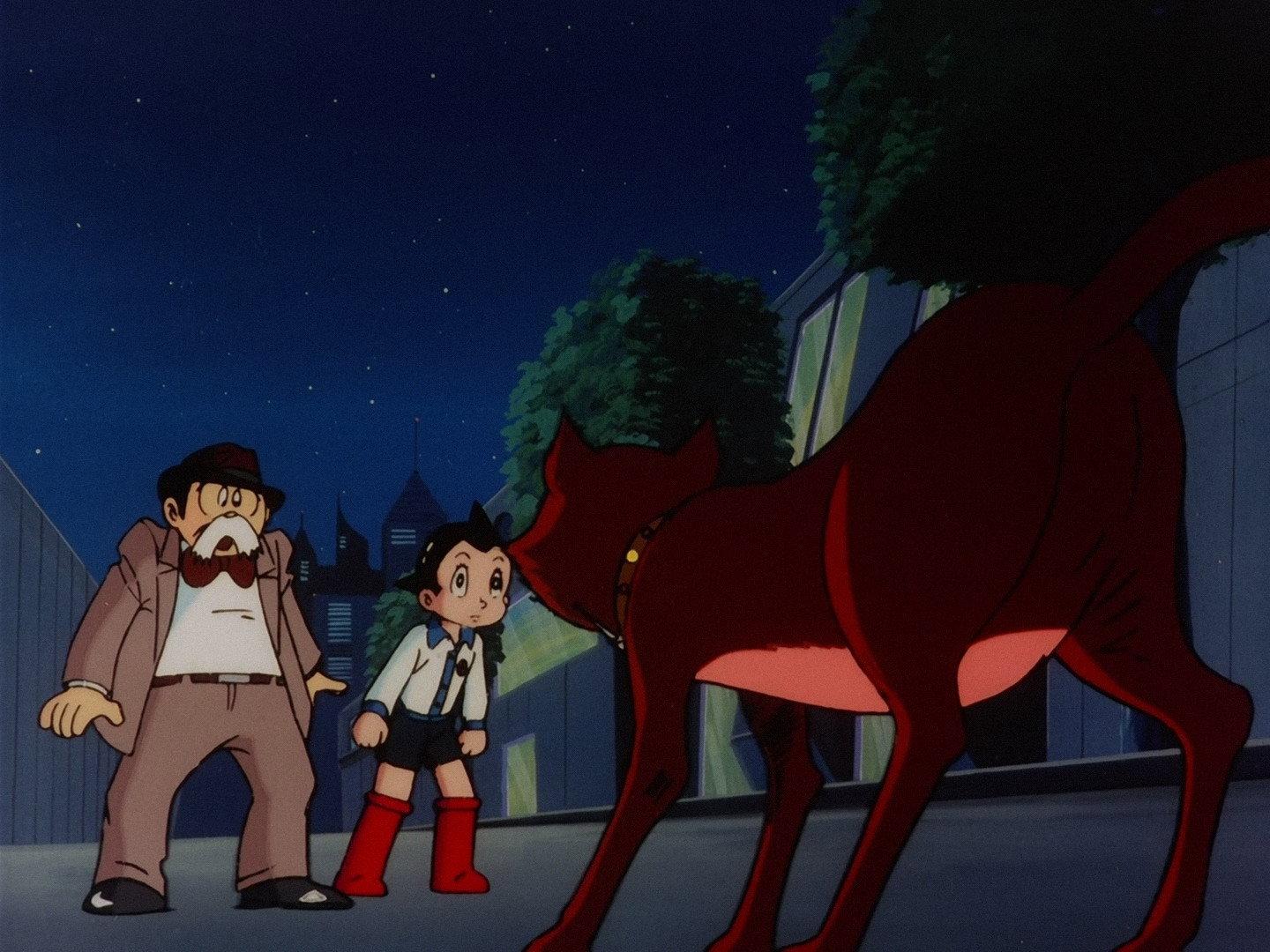 Still from The Red Cat
