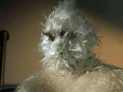 Still from The Abominable Snowman