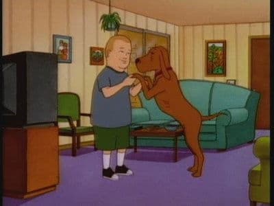 Still from Dances with Dogs