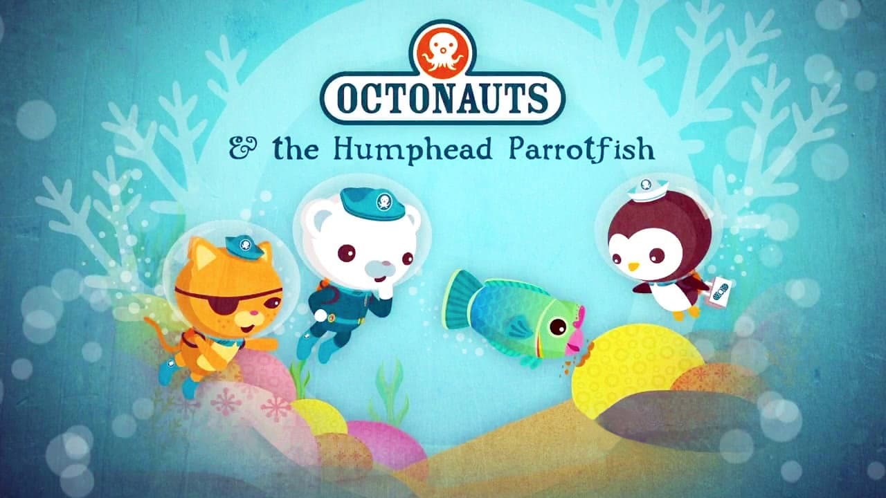 Still from The Humphead Parrotfish
