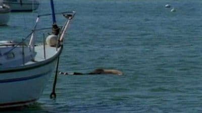 Still from Death by Water (2)