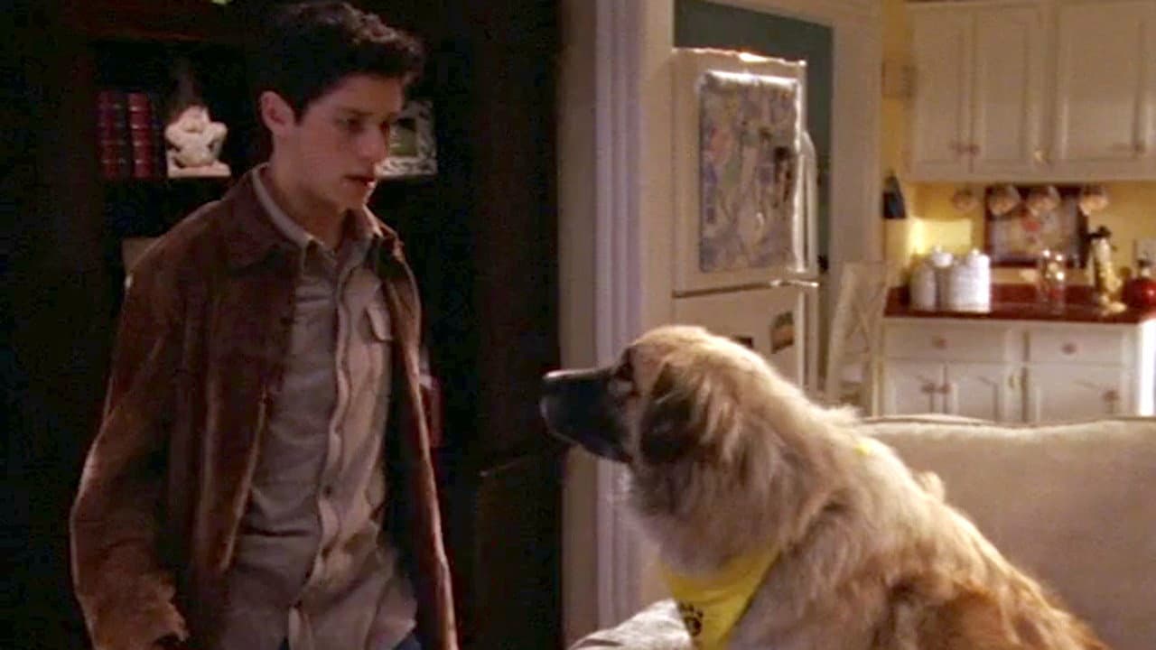 Still from Doggie Daycare