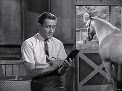 Still from Wilbur Post, Honorary Horse