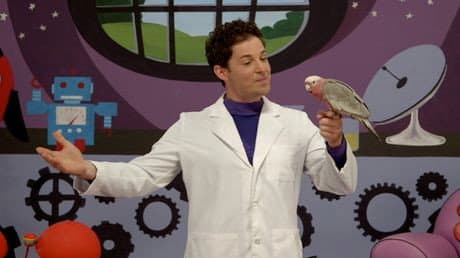 Still from Lachy's Bird Poem