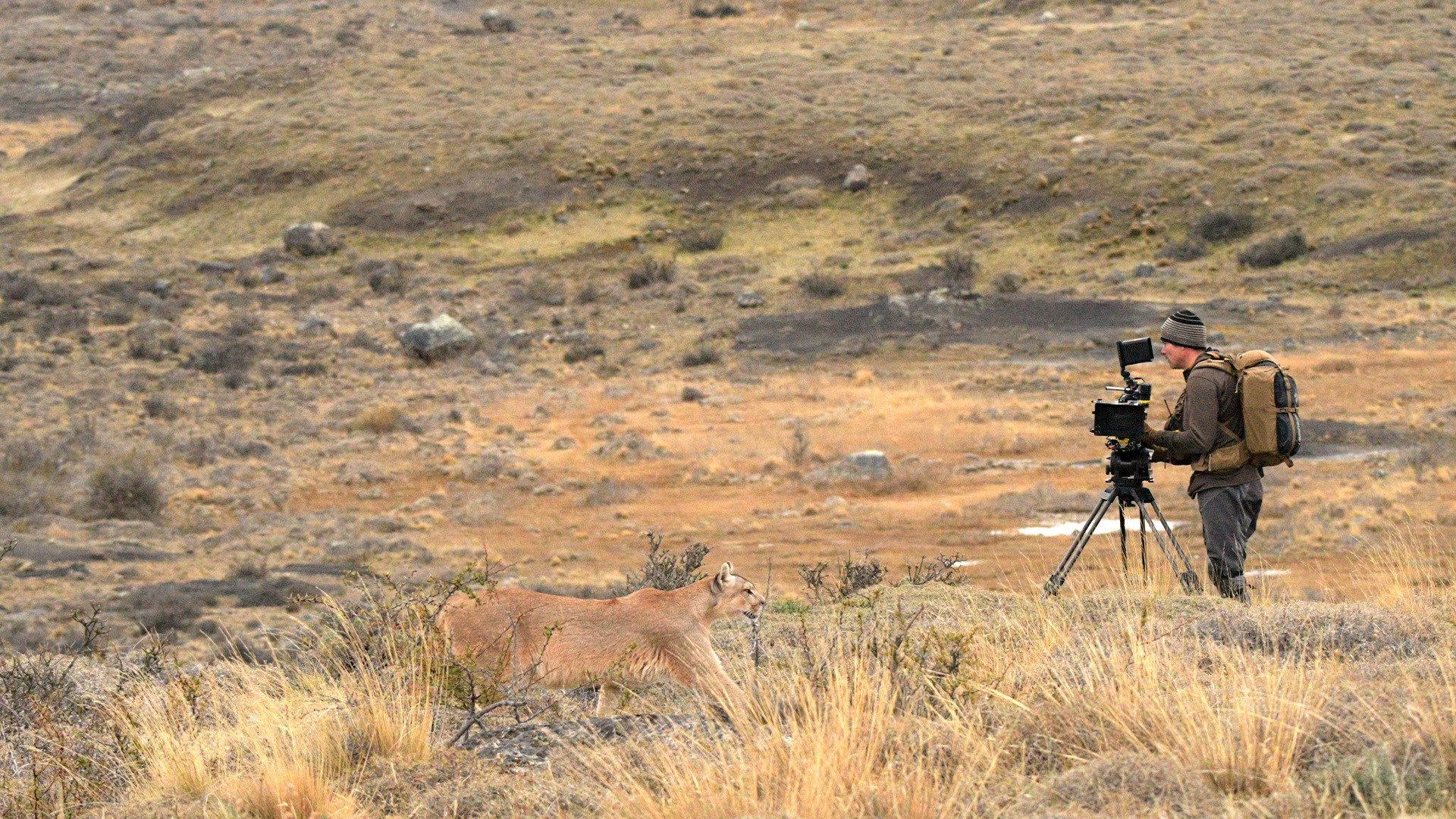 Still from The Making of Dynasties: Season 2