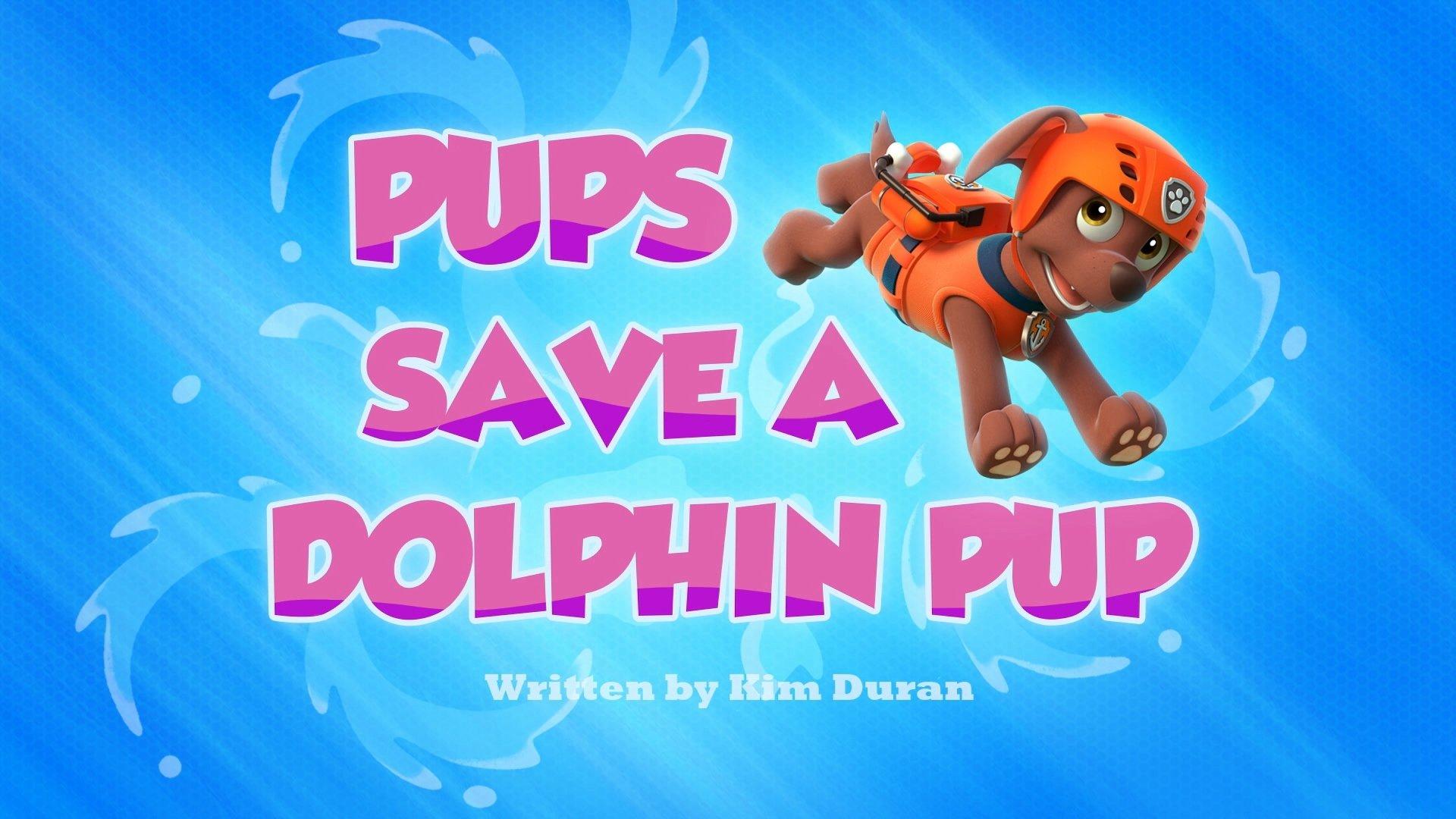 Still from Pups Save a Dolphin Pup