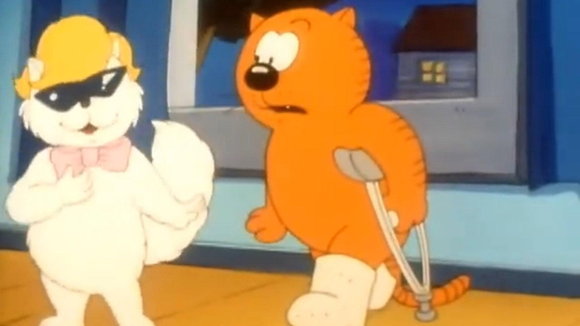Still from Rear Cat Window