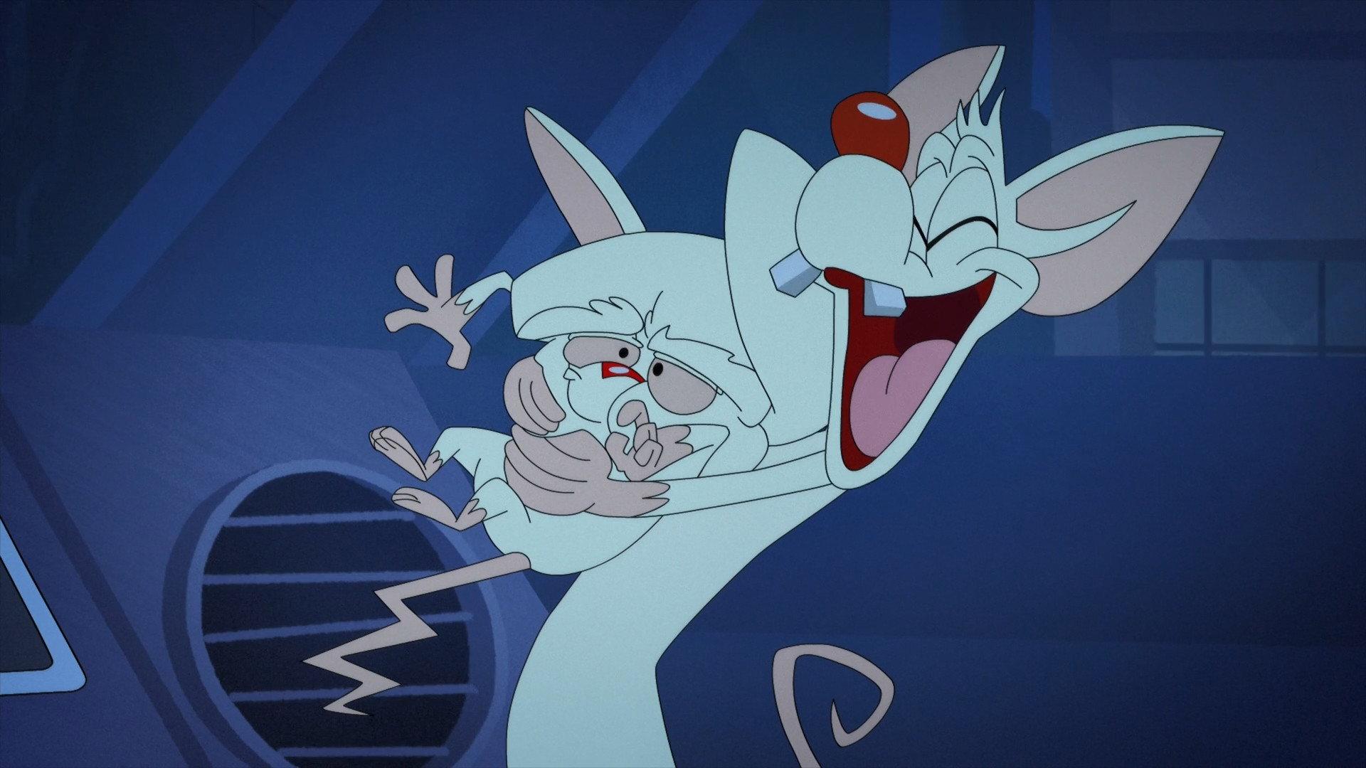 Still from Roadent Trip