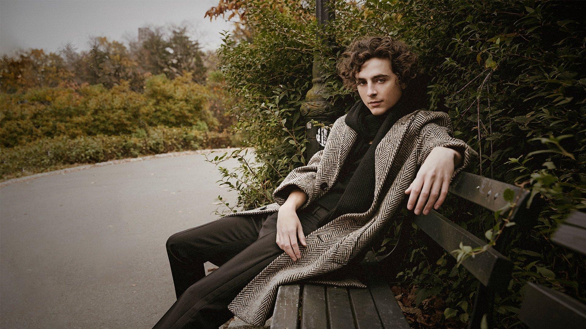 Still from November 11 - Timothée Chalamet