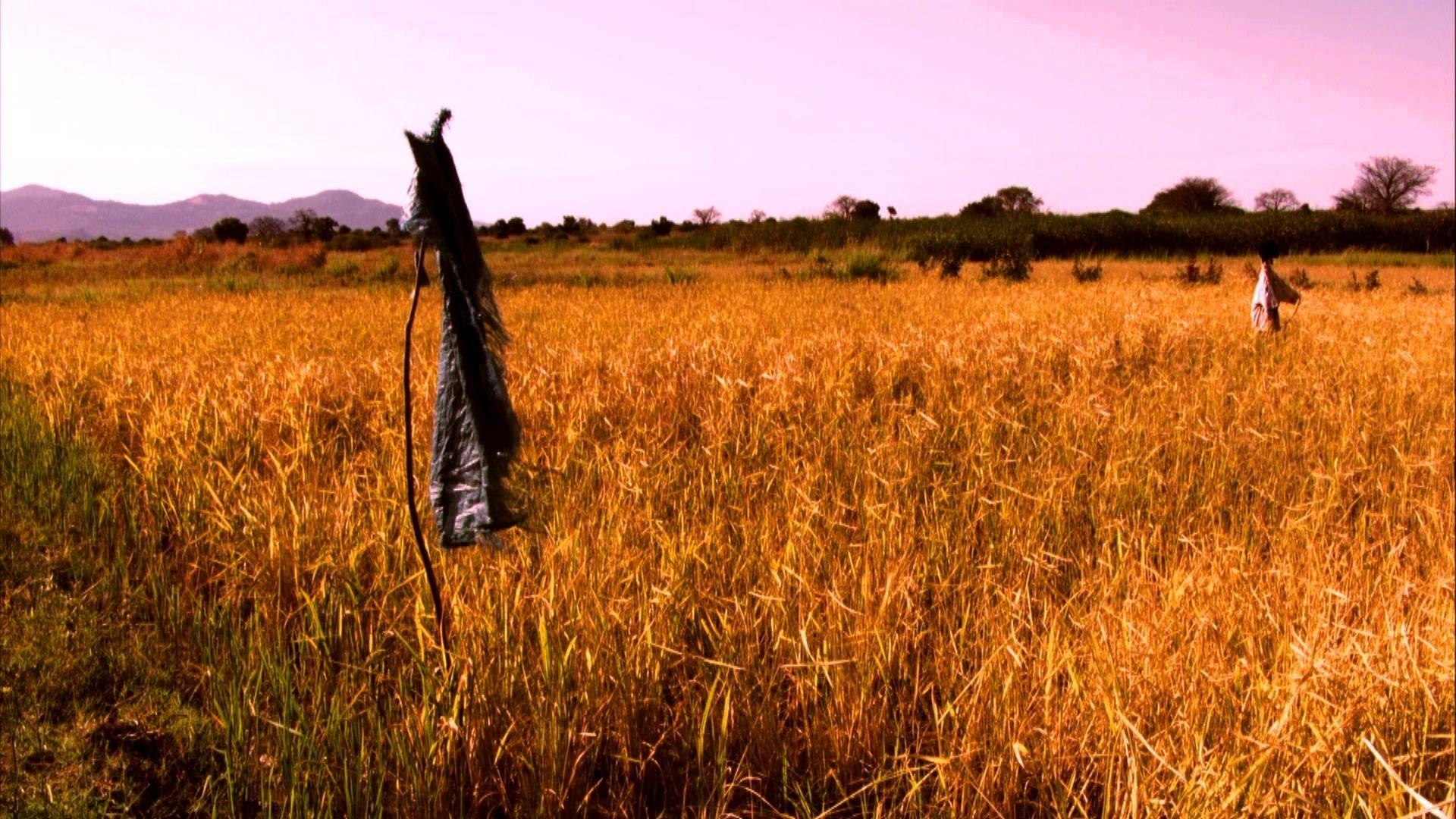 Still from Grasslands: Roots of Power