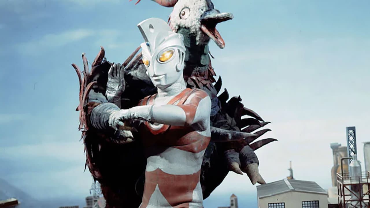 Still from Lend Me the Pigeon