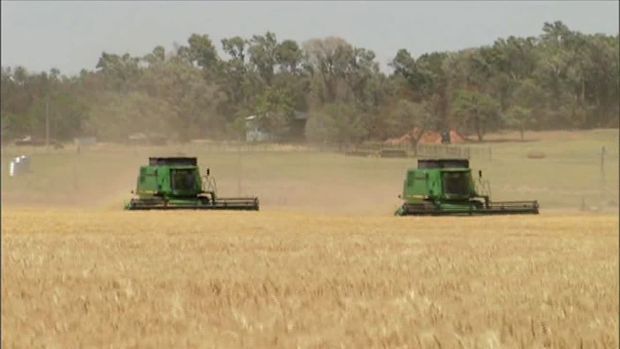 Still from Wheat
