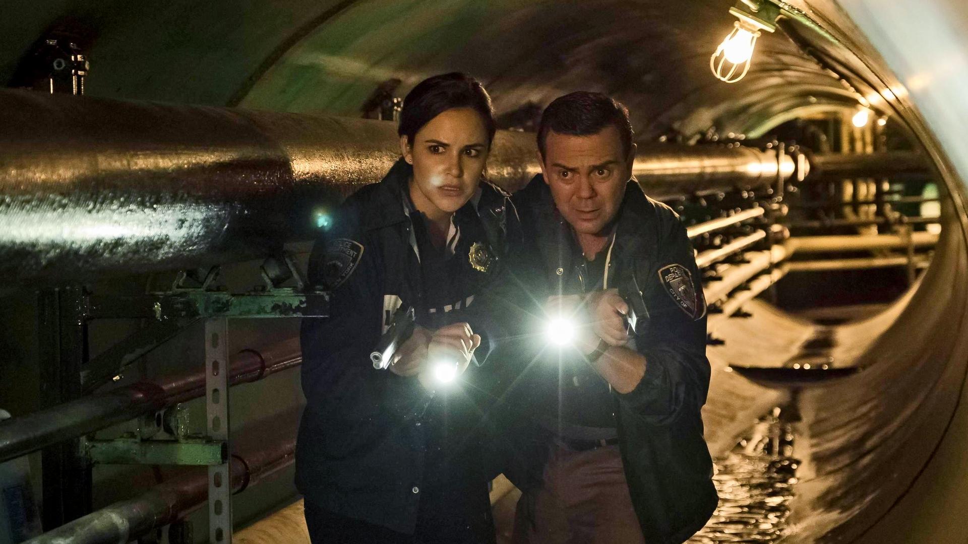 Still from The Fugitive (1)