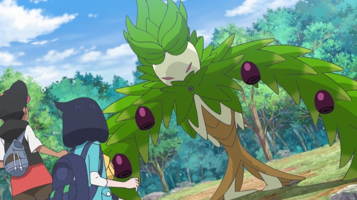 Still from Arboliva's Forest