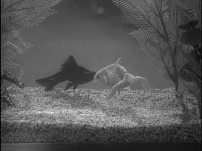 Still from The Night the Roof Fell In