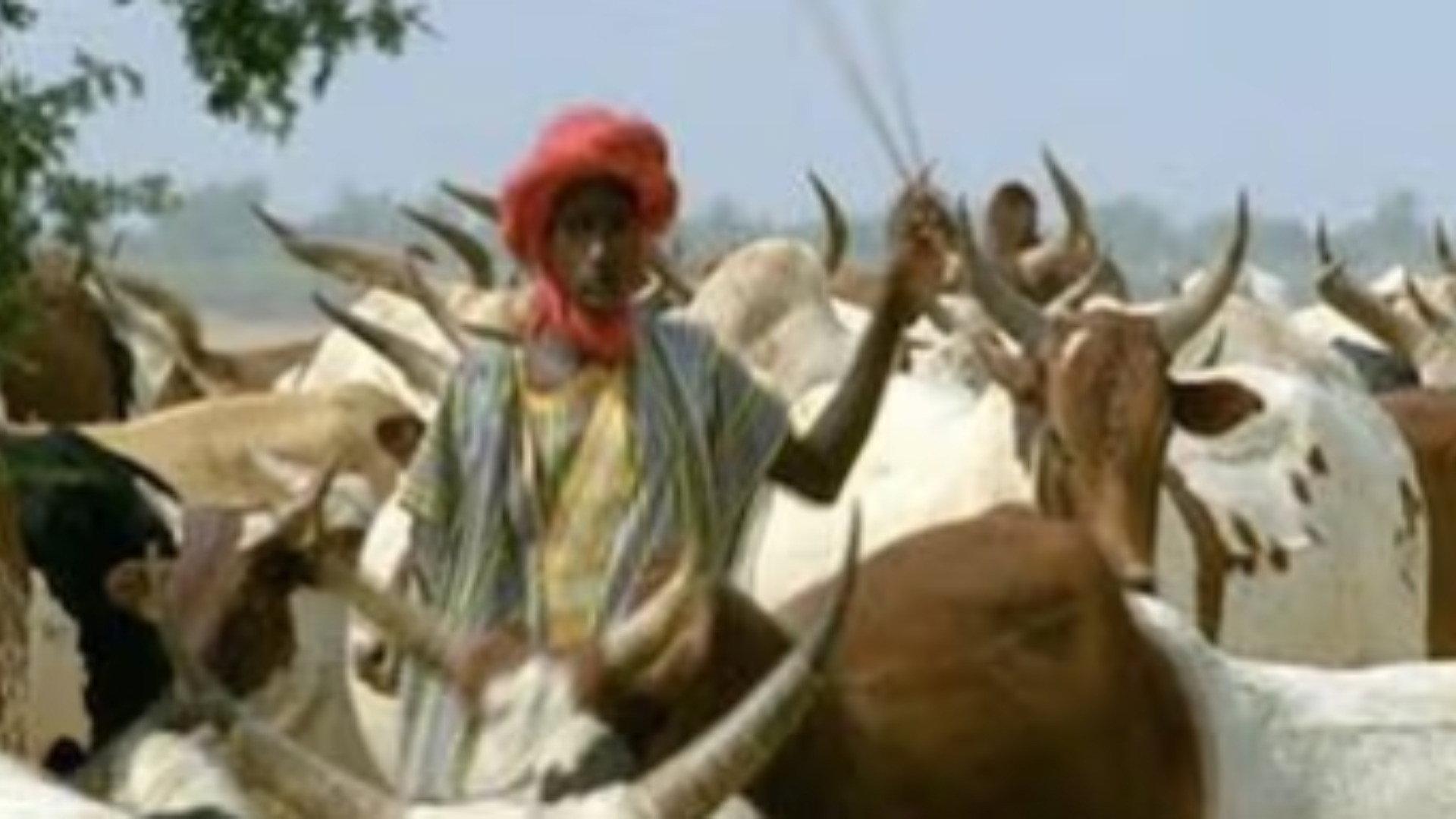 Still from Africa: Love in the Sahel