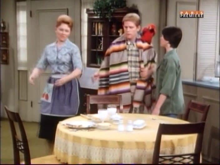 Still from Fonzie for the Defense
