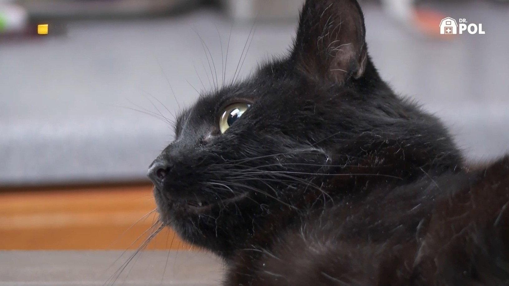 Still from Trouble With Tater
