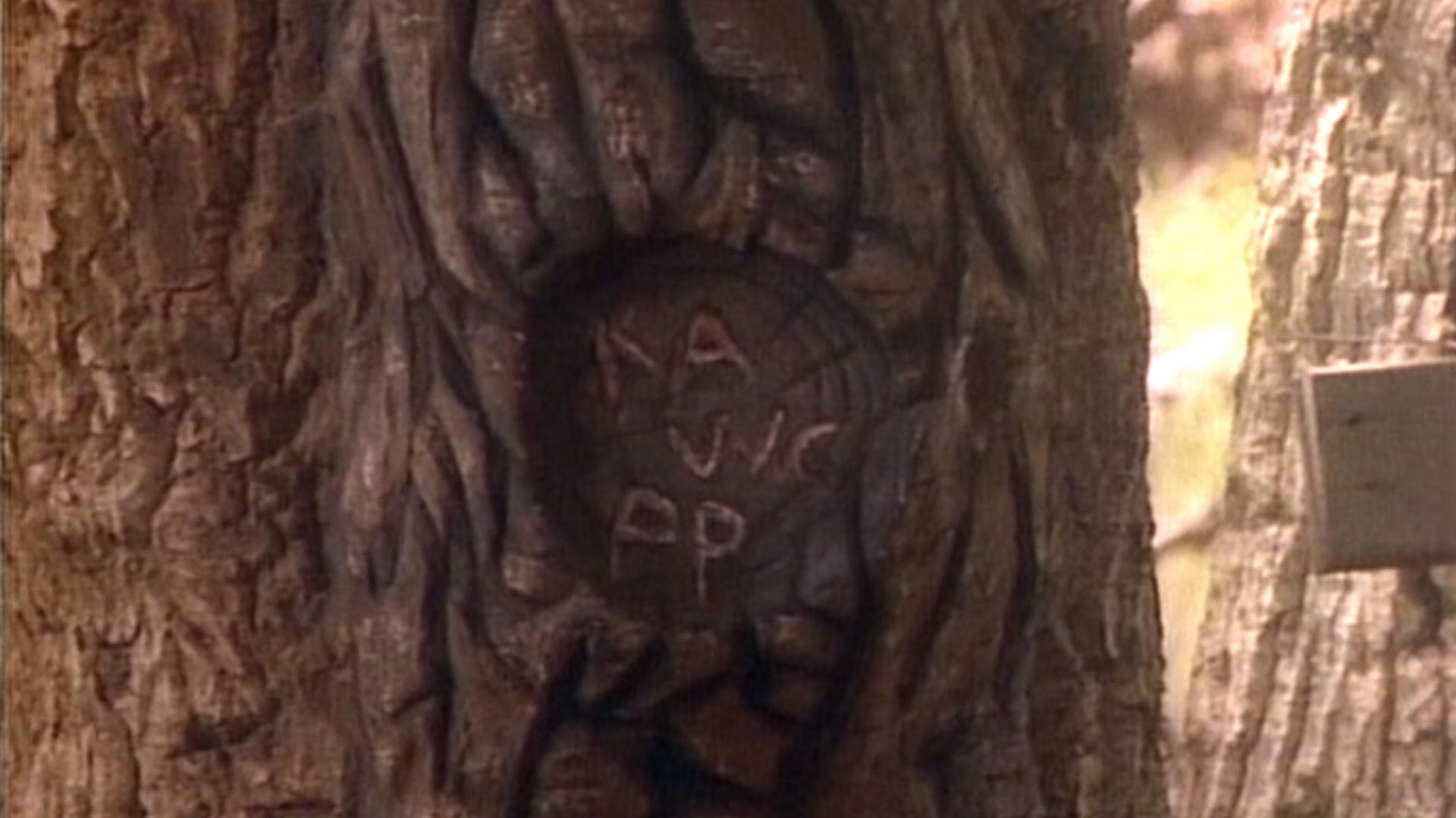 Still from Whose Woods Are These?