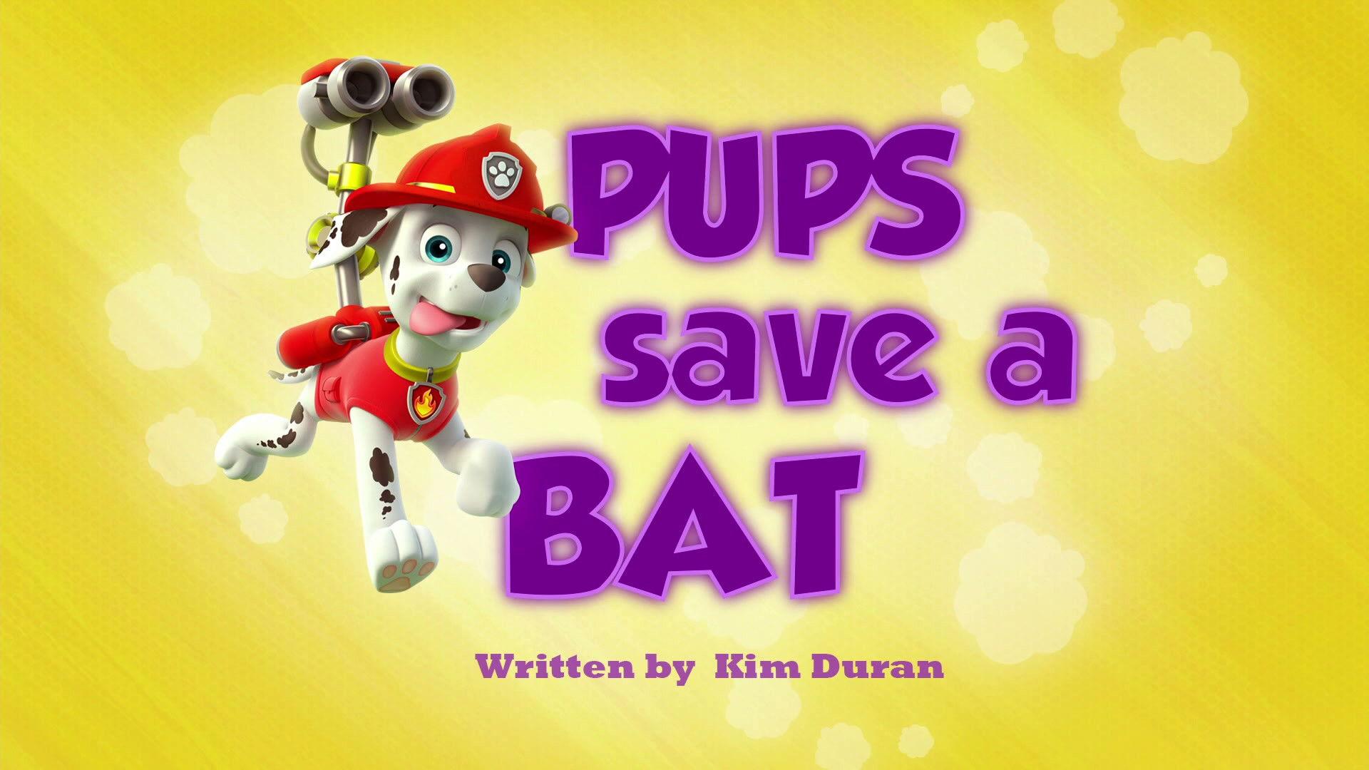 Still from Pups Save a Bat