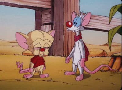 Still from The Megalomaniacal Adventures of Brainie The Poo