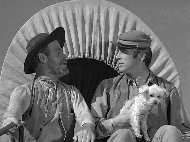 Still from Incident of the Silent Web