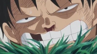 Still from I'll Wait Here! Luffy vs. the Enraged Army!