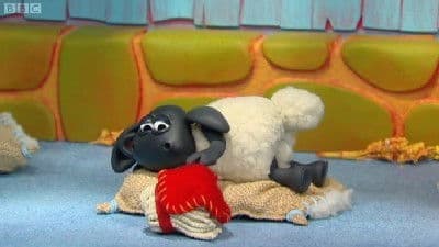Still from Timmy's Pet Problem