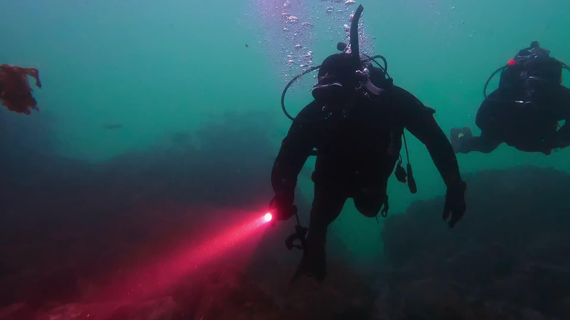 Still from Alien Waters